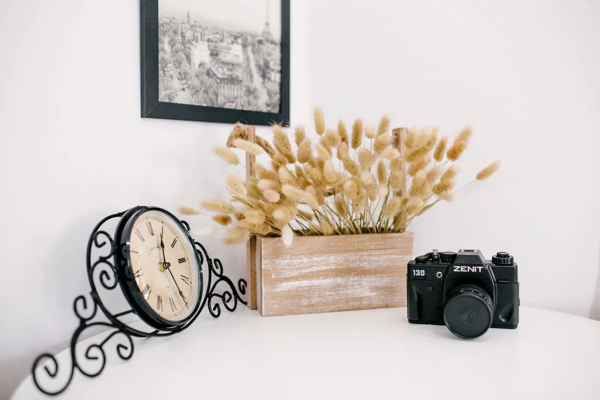 Small Space, Big Impact: Feather Display Ideas for Flats